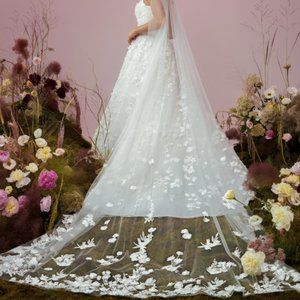 Anne Barge Poetic Light Veil